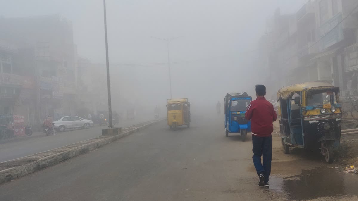 Fog And Cold In Jind