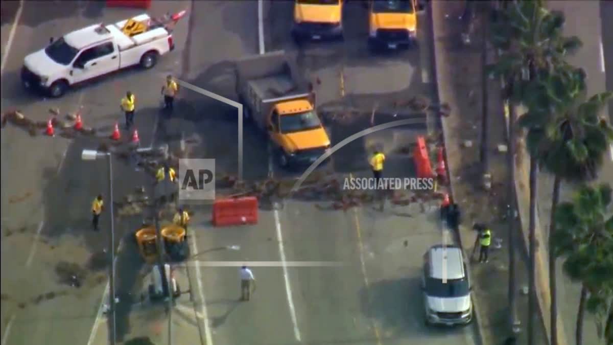 Pro-Palestinian protests in New York, Los Angeles, protesters block the roads leading to the airport