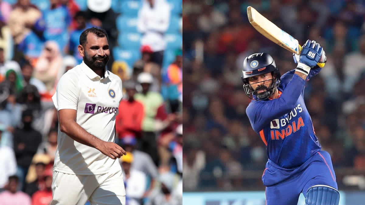 India vs South Africa  Dinesh Karthik On Shami  ഇന്ത്യ ദക്ഷിണാഫ്രിക്ക  ദിനേശ് കാര്‍ത്തിക് ഷമി