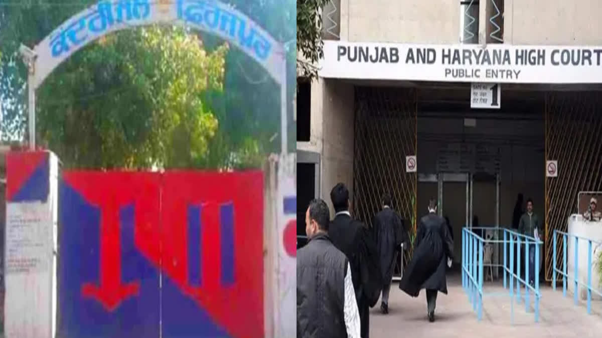 Punjab Haryana High Court has refused to grant bail