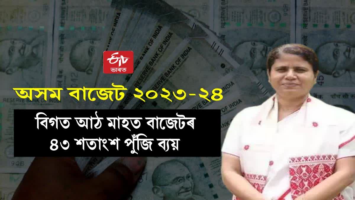 Assam govt Budget