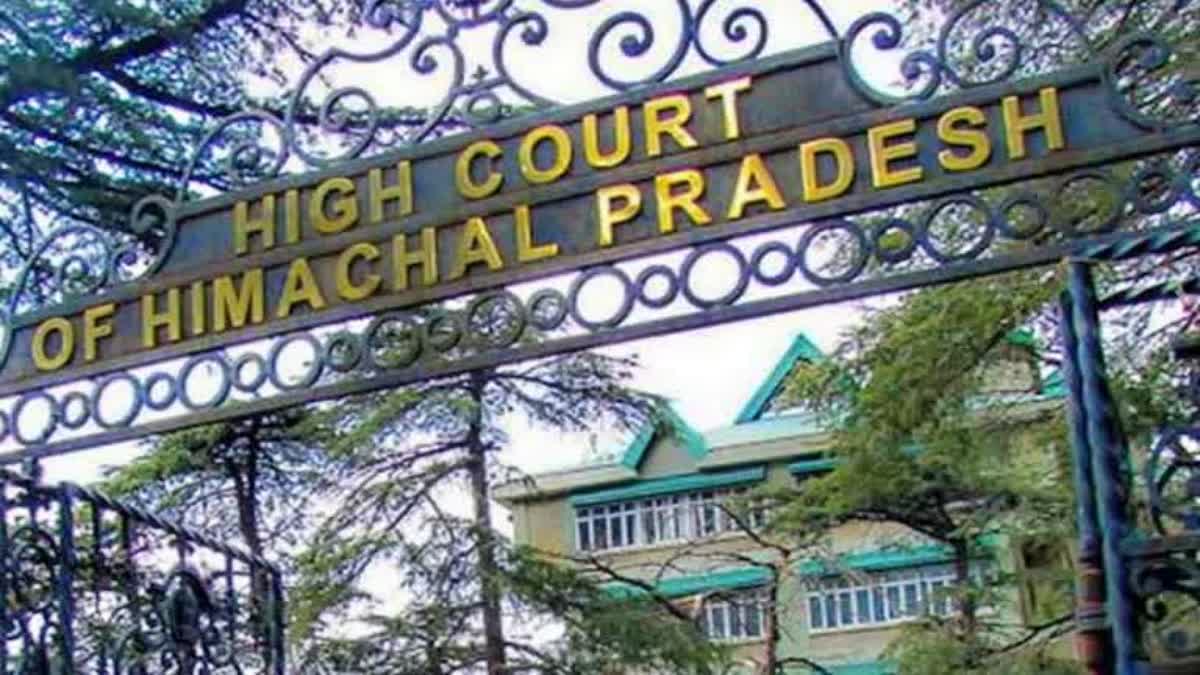 himachal high court