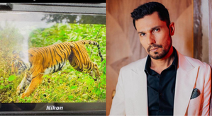 Randeep Hooda seeks help Uttrakhand CM pushkar singh dhami for stuck tigress