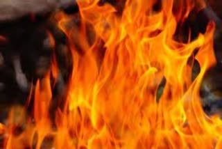 bus catches fire in MP's Guna