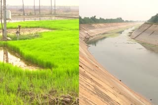 Farmers Face Problems Sagar Water Supply
