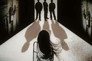 Woman gang-raped by Palamu DC, SP's drivers