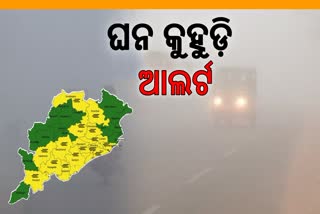 dense fog alert in odisha