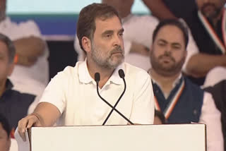 CONGRESS FOUNDATION DAY 2023,There is a fight between two ideologies in the country: Rahul Gandhi