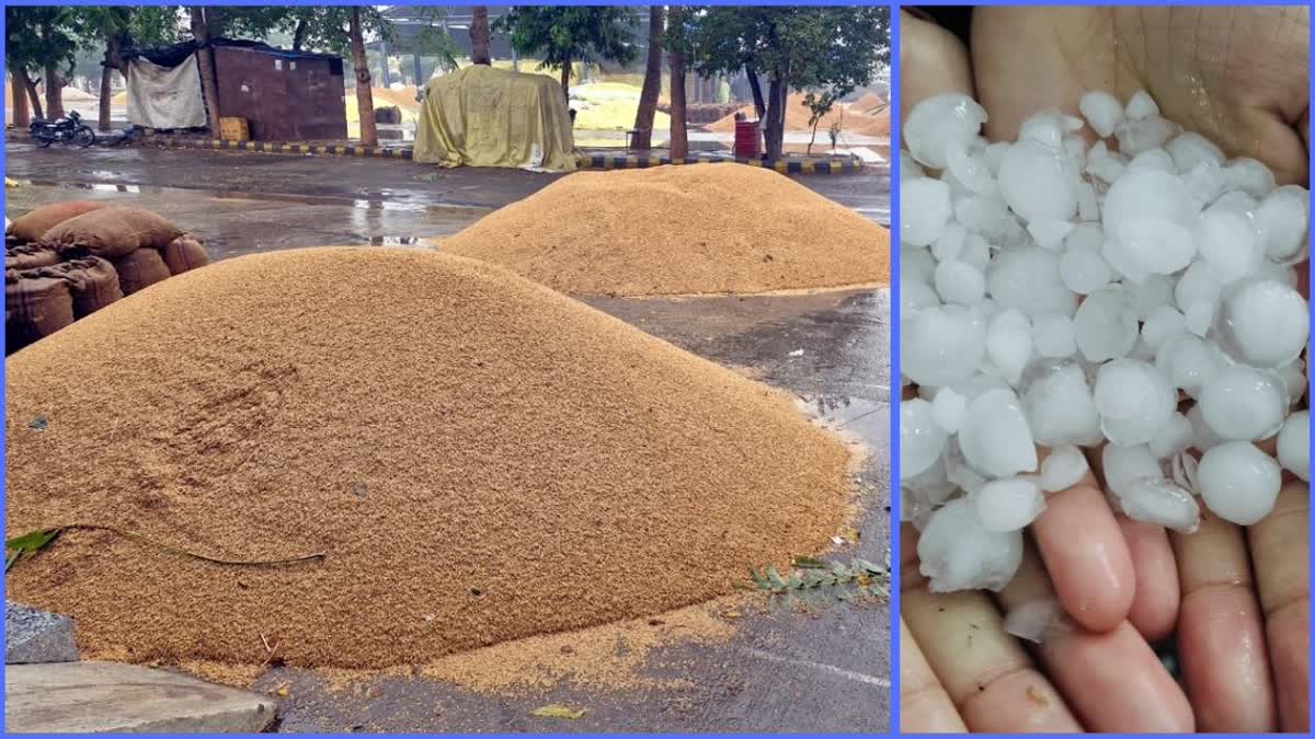 Rain and hailstorm in Jind