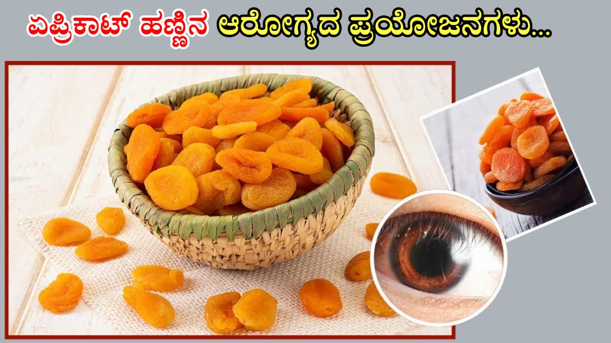 DRY APRICOTS HEALTH BENEFITS  HEALTH BENEFITS OF APRICOTS  HEALTH BENEFITS OF EATING APRICOTS  EATING APRICOTS DAILY BENEFITS