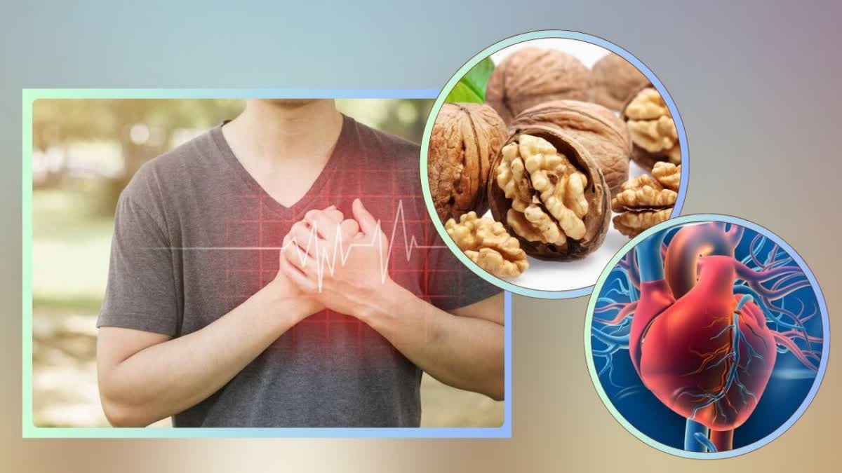 WALNUTS HEALTH BENEFITS