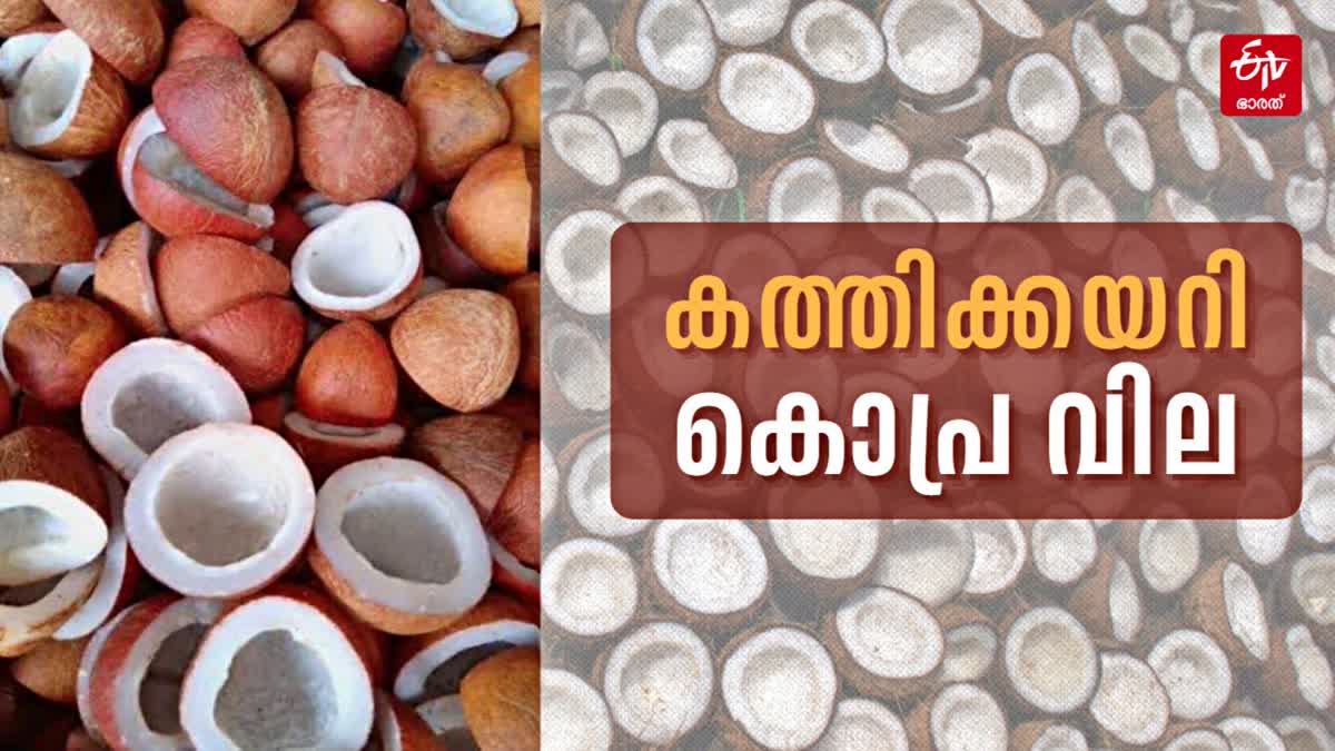 കൊപ്ര വില  COCOUNT PRICE  DRY COCOUNT RATE  COCONUT OIL RATE