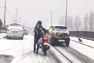 Snow Disrupt Flights, Train Services Across Kashmir