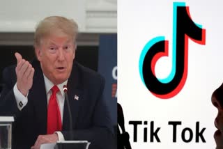 TIKTOK DONALD TRUMP