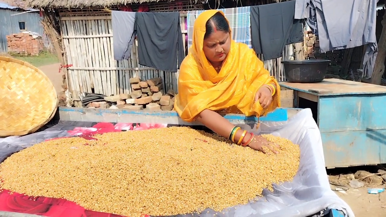 गेहूं सुखाती महिला.