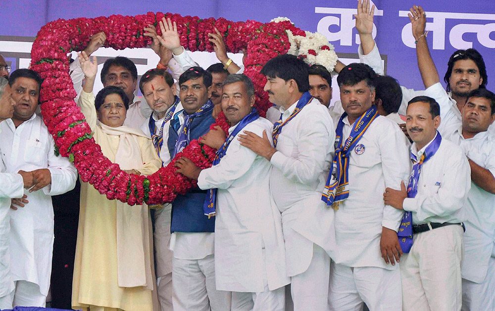 bsp haryana