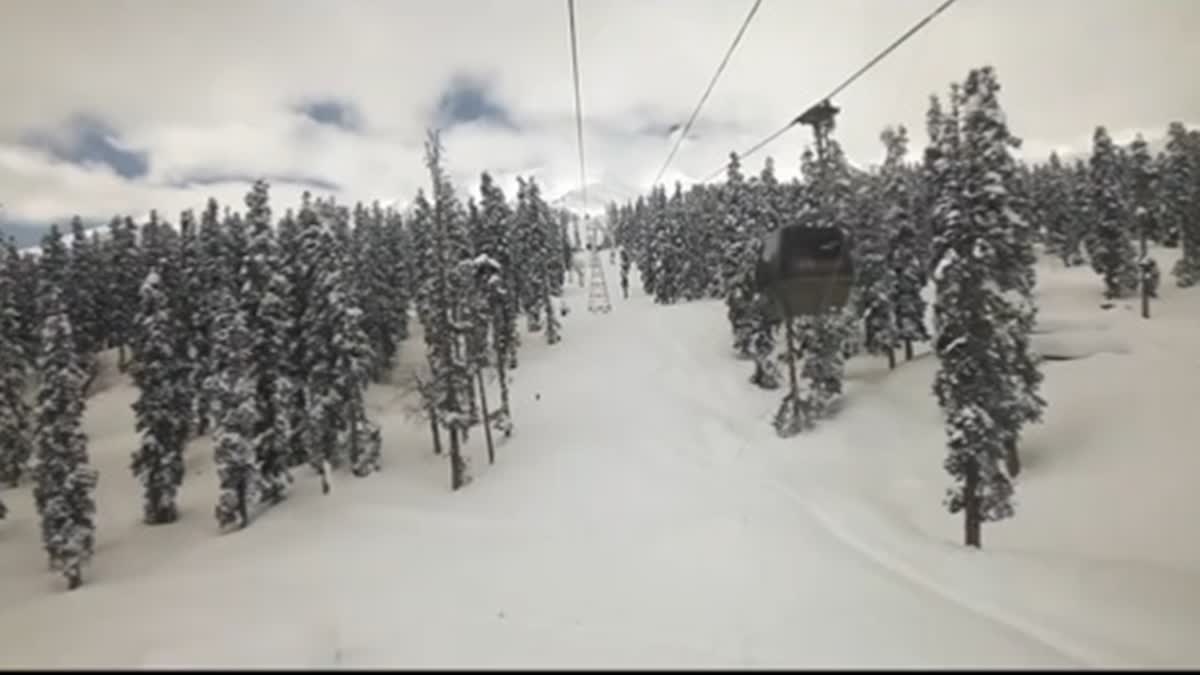 Fresh snowfall at ski resort Gulmarg in Kashmir