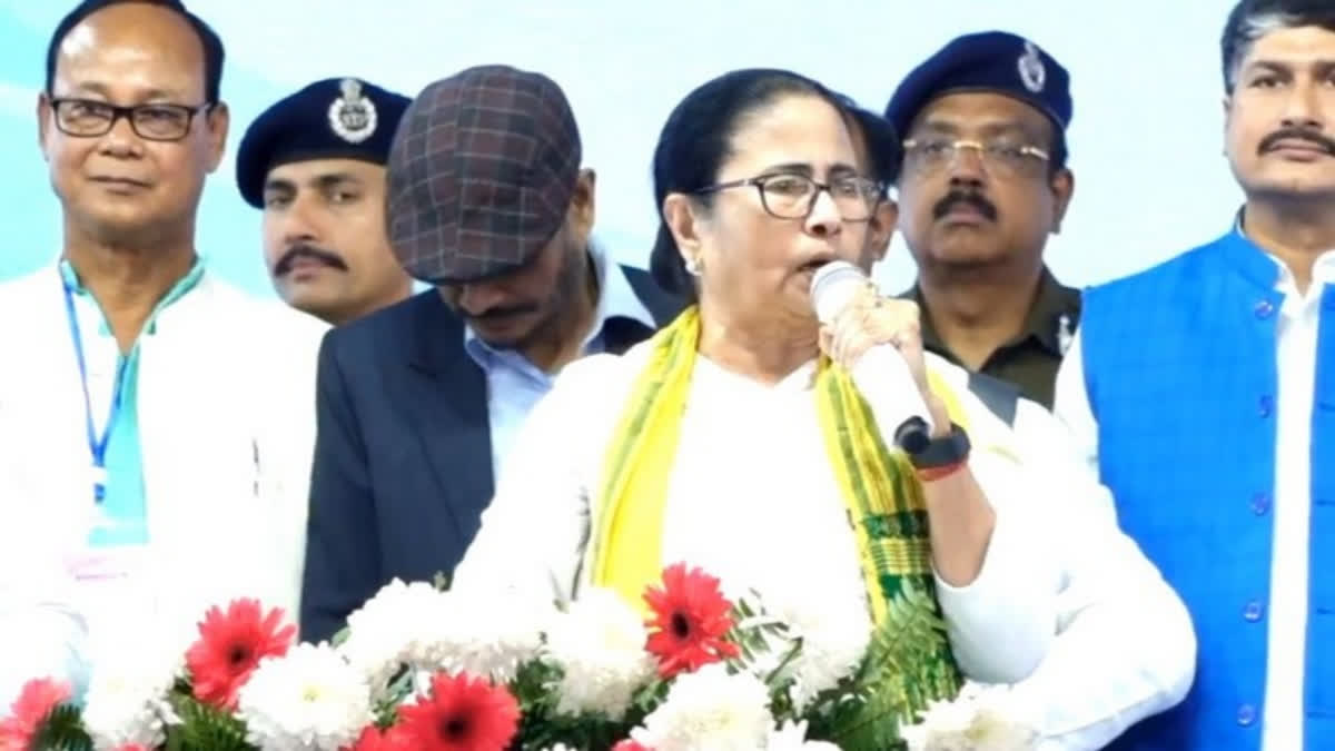 File photo: Mamata Banerjee (Source ANI)