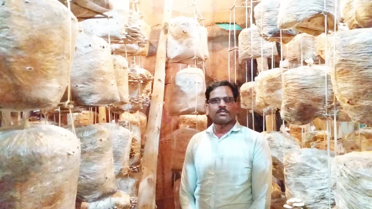 shahdol mushroom farmer becomes millionaire