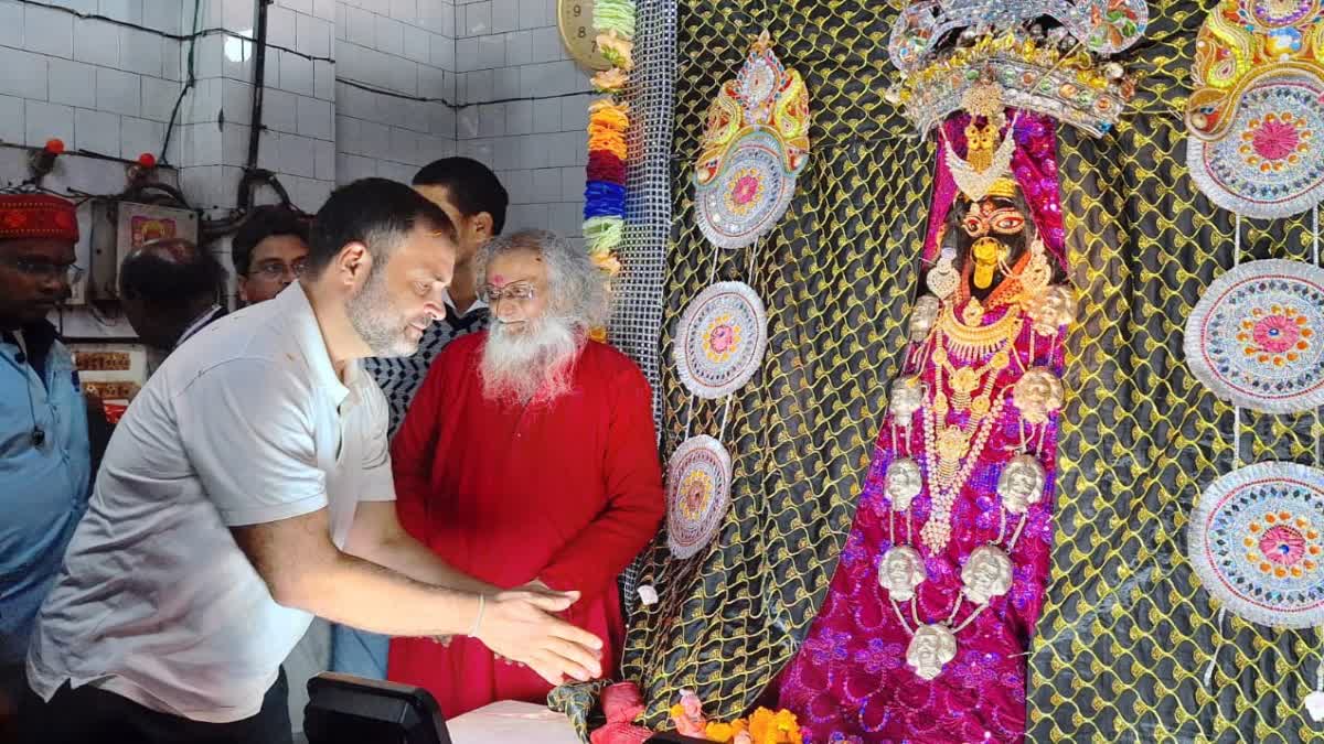 rahul gandhi in araria