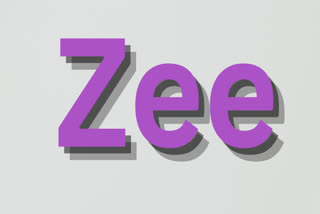 Zee (File Photo)