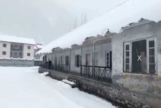 Snow Fall at Bandipora