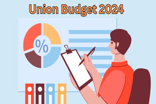 Union Budget 2024 (File Photo)