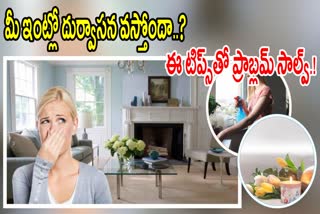 Tips for Bad Smell in Home