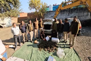 Morena Police Seized Ganja