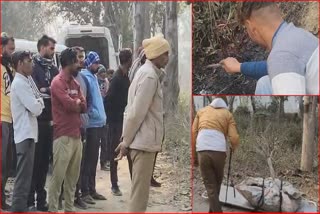 Shooter Rajan Burnt to Death in Yamunanagar Lawrence Bishnoi Gang Shooter Gangster Bambiha