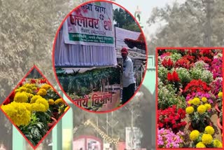 Maitri Bagh flower show preparation complete