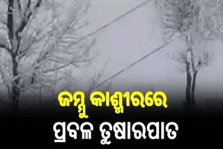 ଜମ୍ମୁକାଶ୍ମୀରରେ ତୁଷାରପାତ