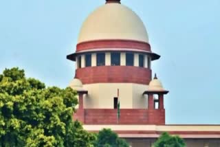 Jaipur bomb blast case,  Supreme Court has upheld the bail