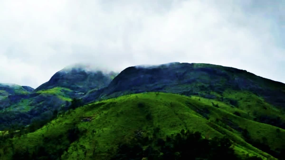 MUNNAR TOURISM  IDUKKI MUNNAR  മൂന്നാർ  തേയില തോട്ടം