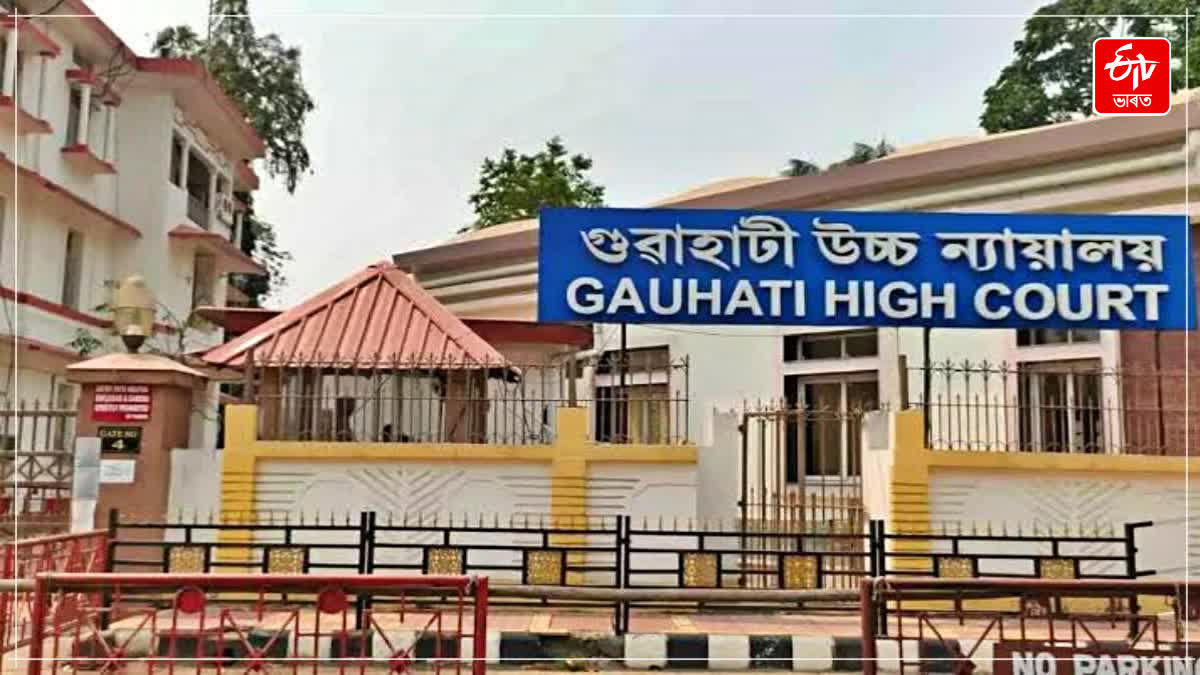 Gauhati HC on Umrangso tragedy