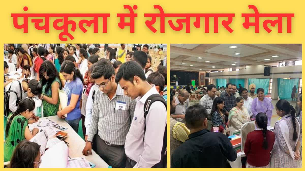 job fair in panchkula