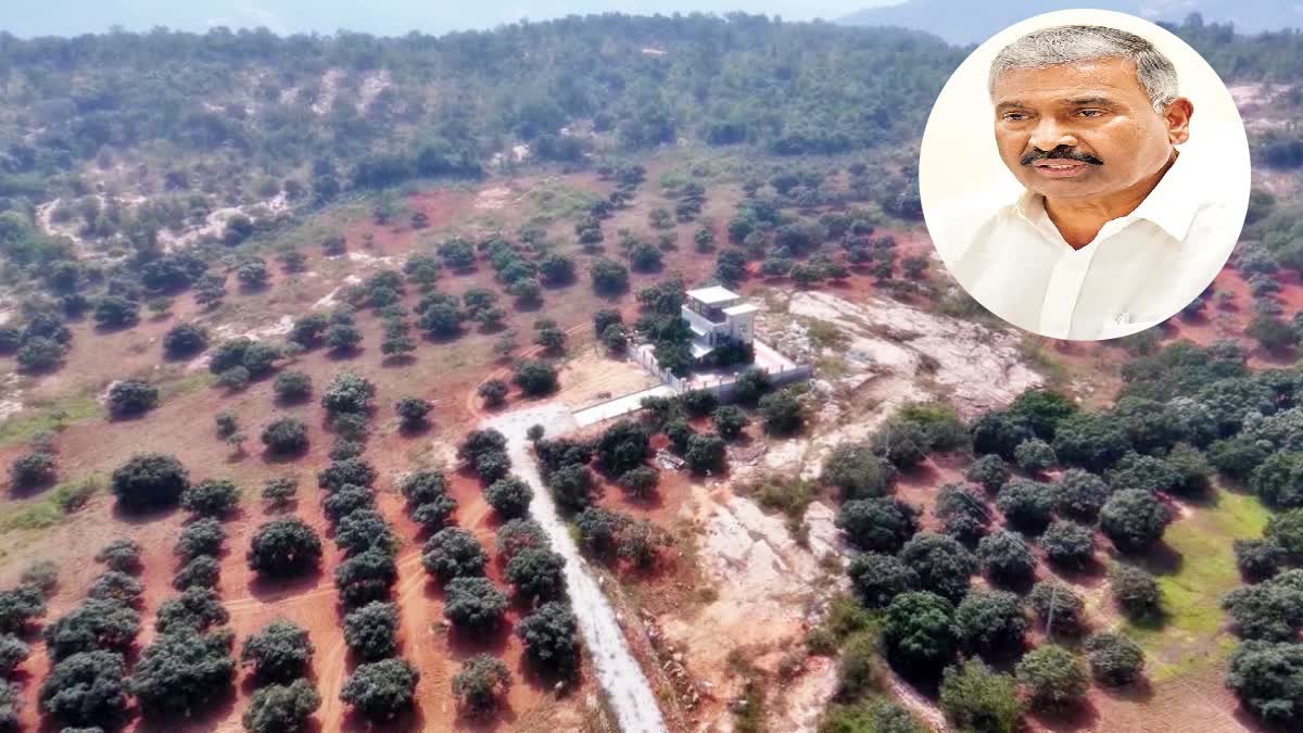 Peddireddy Land Grabs Chittoor District