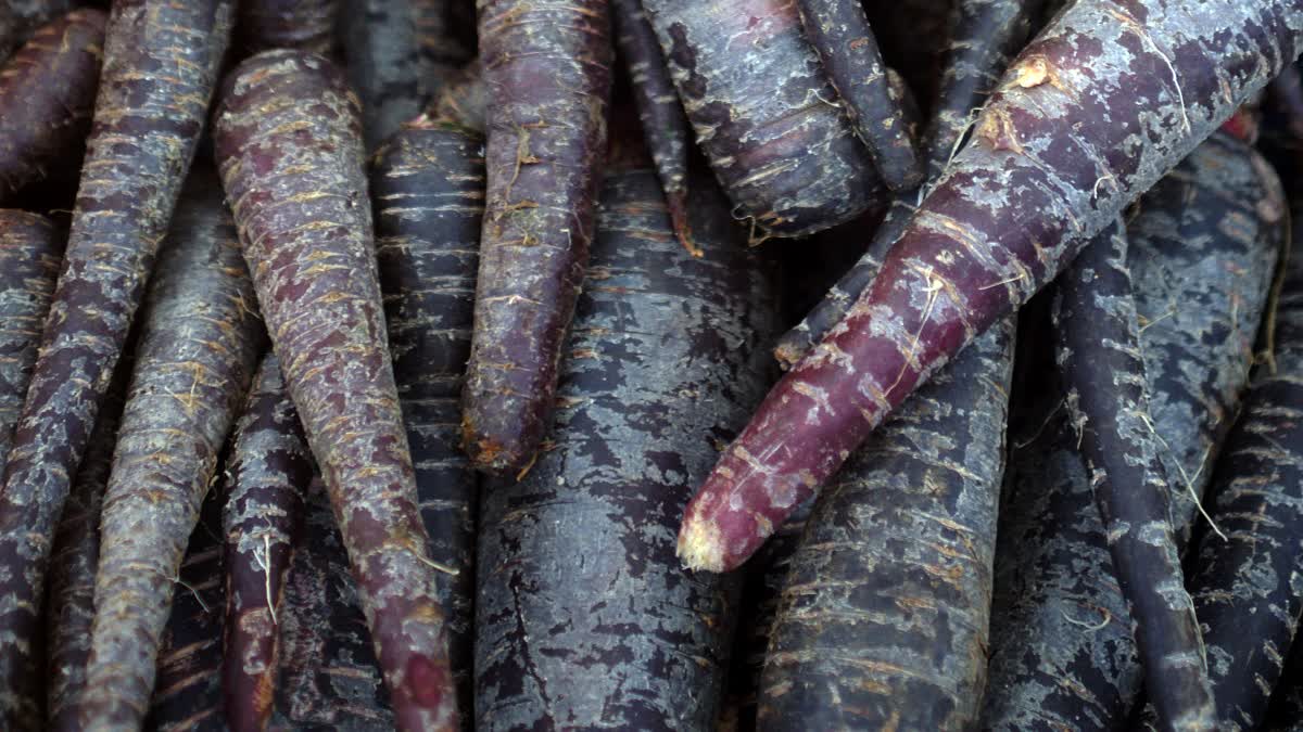 BLACK CARROTS FOR HEALTH