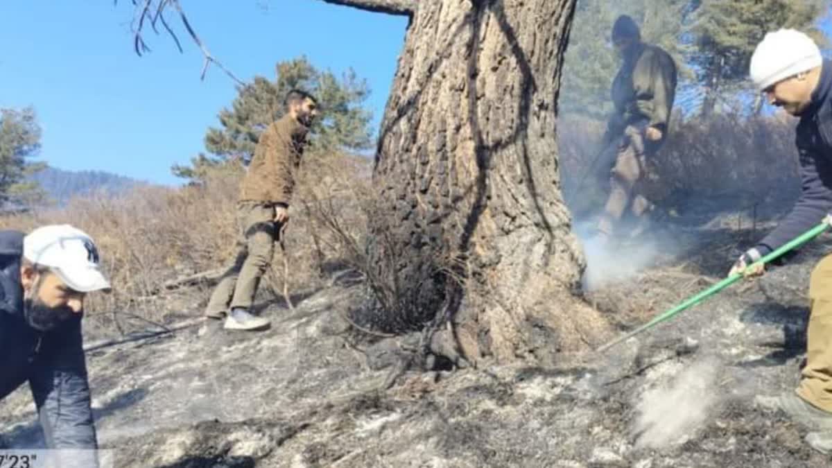 Firefighters battle a forest blaze in Kashmir