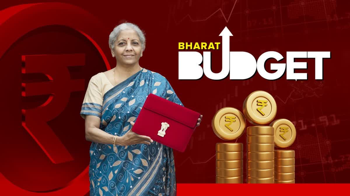 Indian Budget