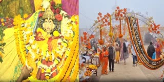 Savitri Besha Of Maa Biraja