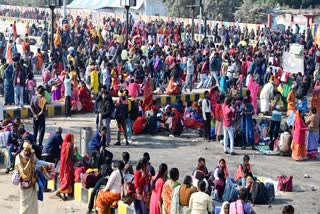 Stampedes in India