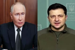 Zelensky On Putin