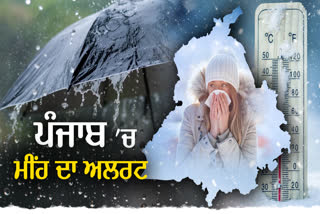 Rain Alert in Punjab