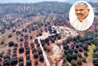 Peddireddy Land Grabs Chittoor District