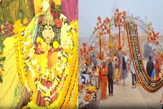 Savitri Besha Of Maa Biraja