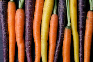 Black carrots are very beneficial for diabetes patients, they are a treasure trove of nutrients