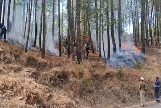 Mock drill of forest department