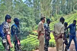 WILD ANIMAL MAN CONFLICT MUNNAR  WILD ANIMAL ATTACKS IN MUNNAR  FOREST DEPARTMENT INSPECTION MUNNAR  LATEST MALAYALAM NEWS