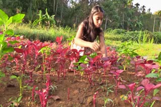 കുട്ടിക്കർഷക അനുഗ്രഹ  ANUGRAHA YOUNG FARMER  ANUGRAHA YOUNG FARMER ERNAKULAM  LATEST NEWS IN MALAYALAM